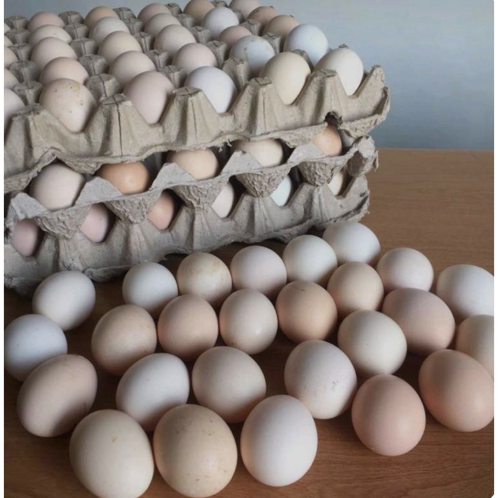 Telur ayam Kampung /1rak