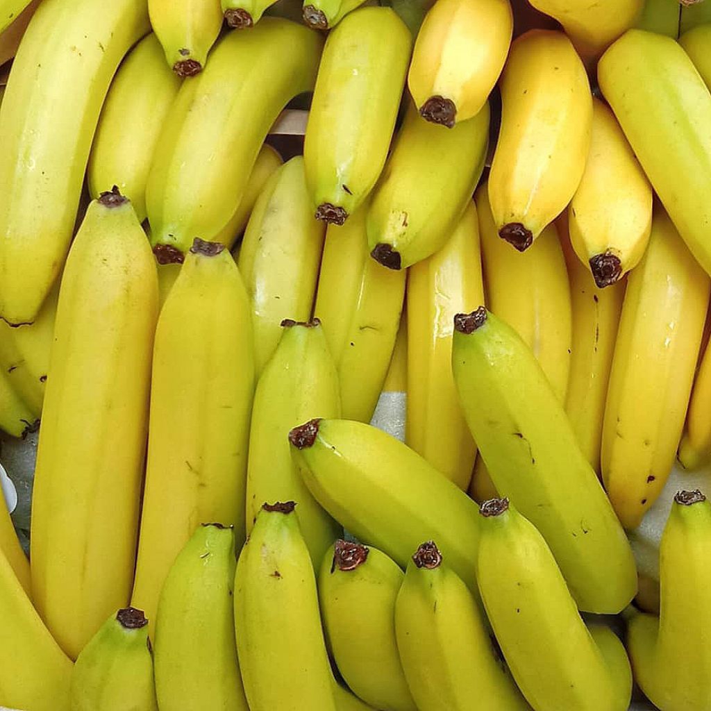 Pisang Cavendish 1 sisir
