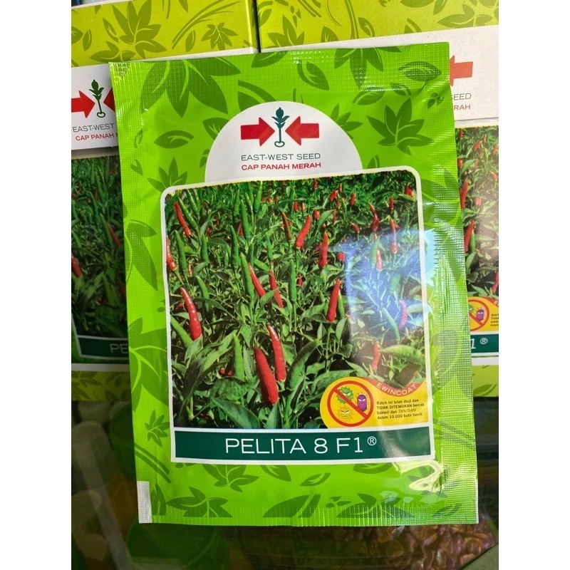 RAWIT PEDAS  Benih Cabe Rawit Pelita 8 F1 isi 2250 butir