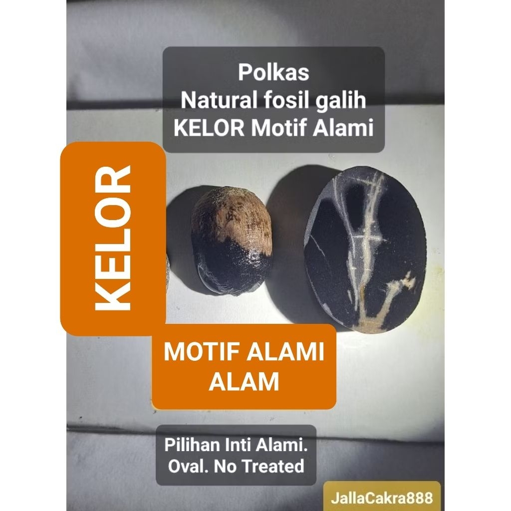 Polkas Natural GalihFsl Kelor Sumatra Les Teras Motif Aktif Alami Alam