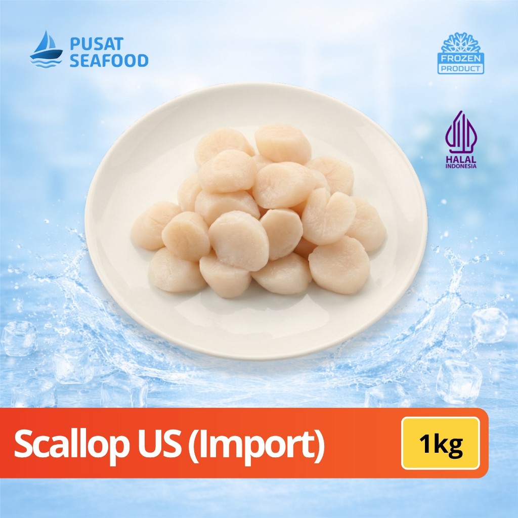 Scallop US Import Premium | Frozen Scallop Meat | Lembut, Manis Alami, High Protein