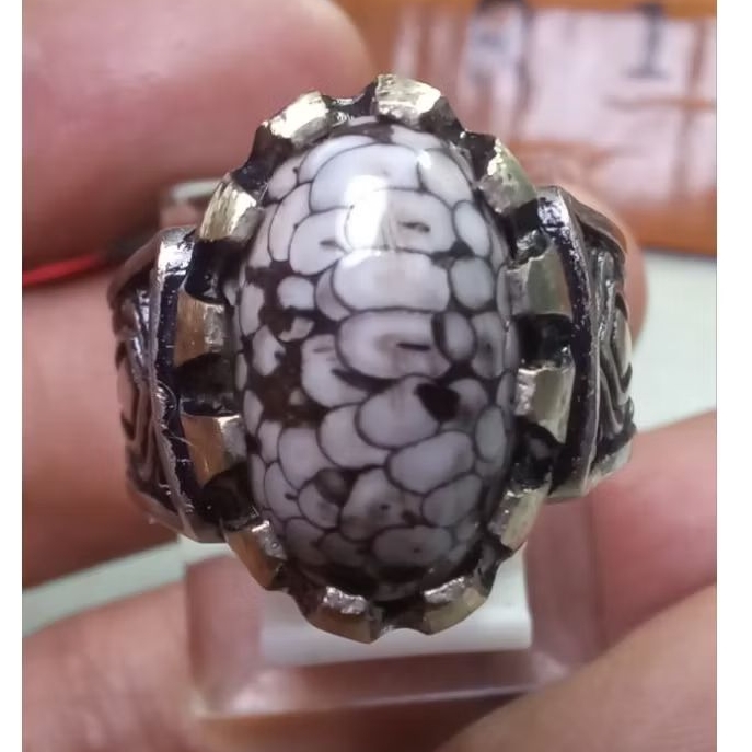 Batu Sisik Ular Jipen