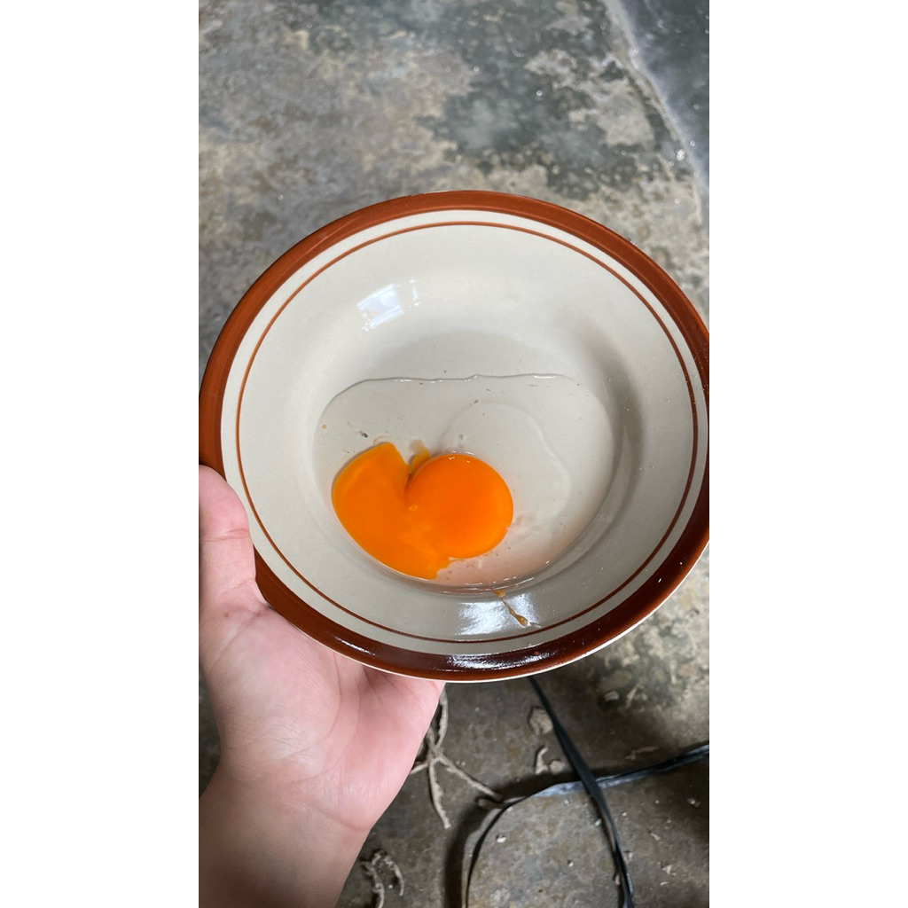 telur bebek omega