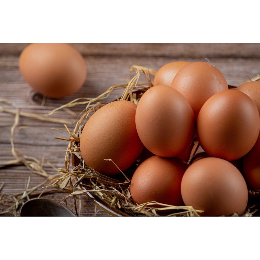 TELUR AYAM (PAJARAKAN, KRAKSAAN, BESUK, PAITON)