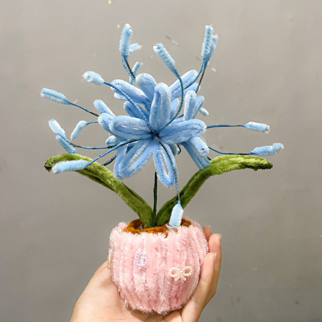 Azure.spider.lily