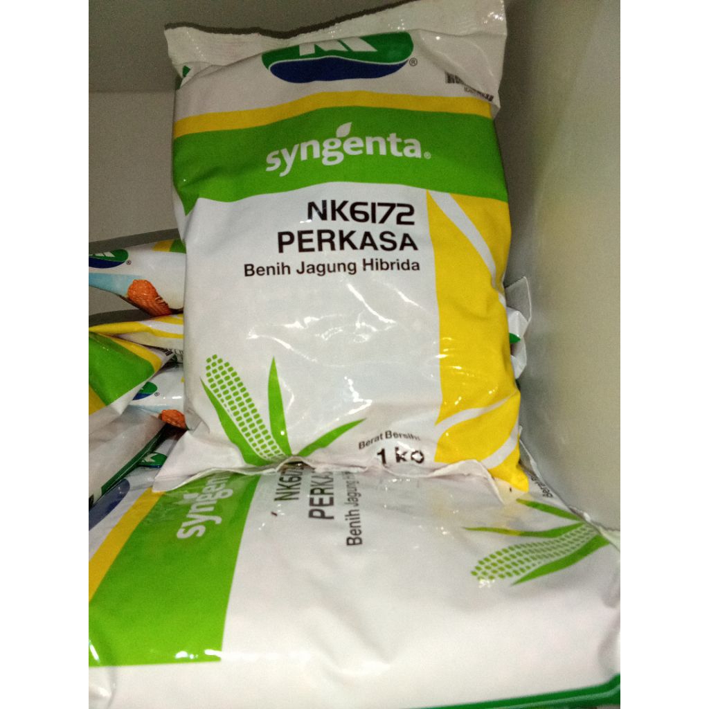 Benih Jagung Hibrida Syngenta NK Perkasa 1 kg