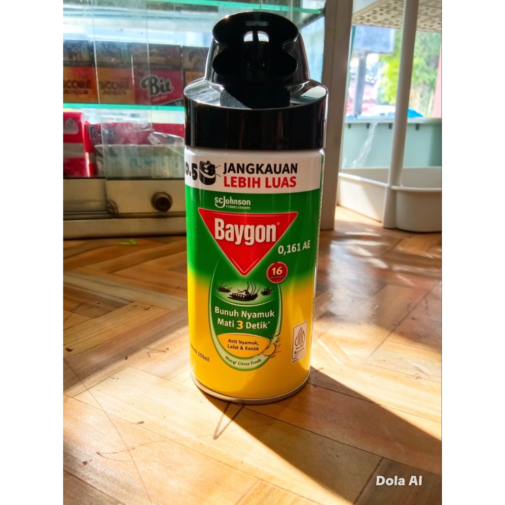 Baygon aerosol
