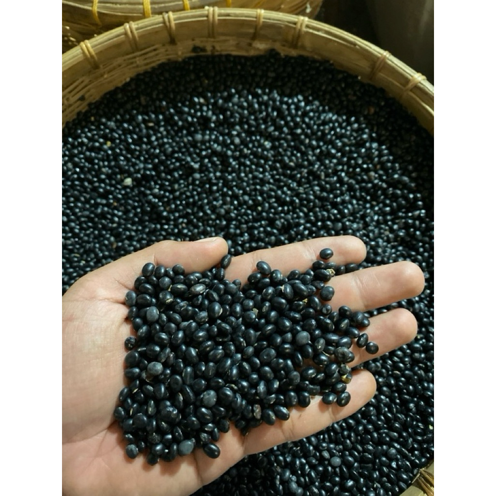 1 KG KEDELAI MALIKA KEDELAI HITAM FRESH