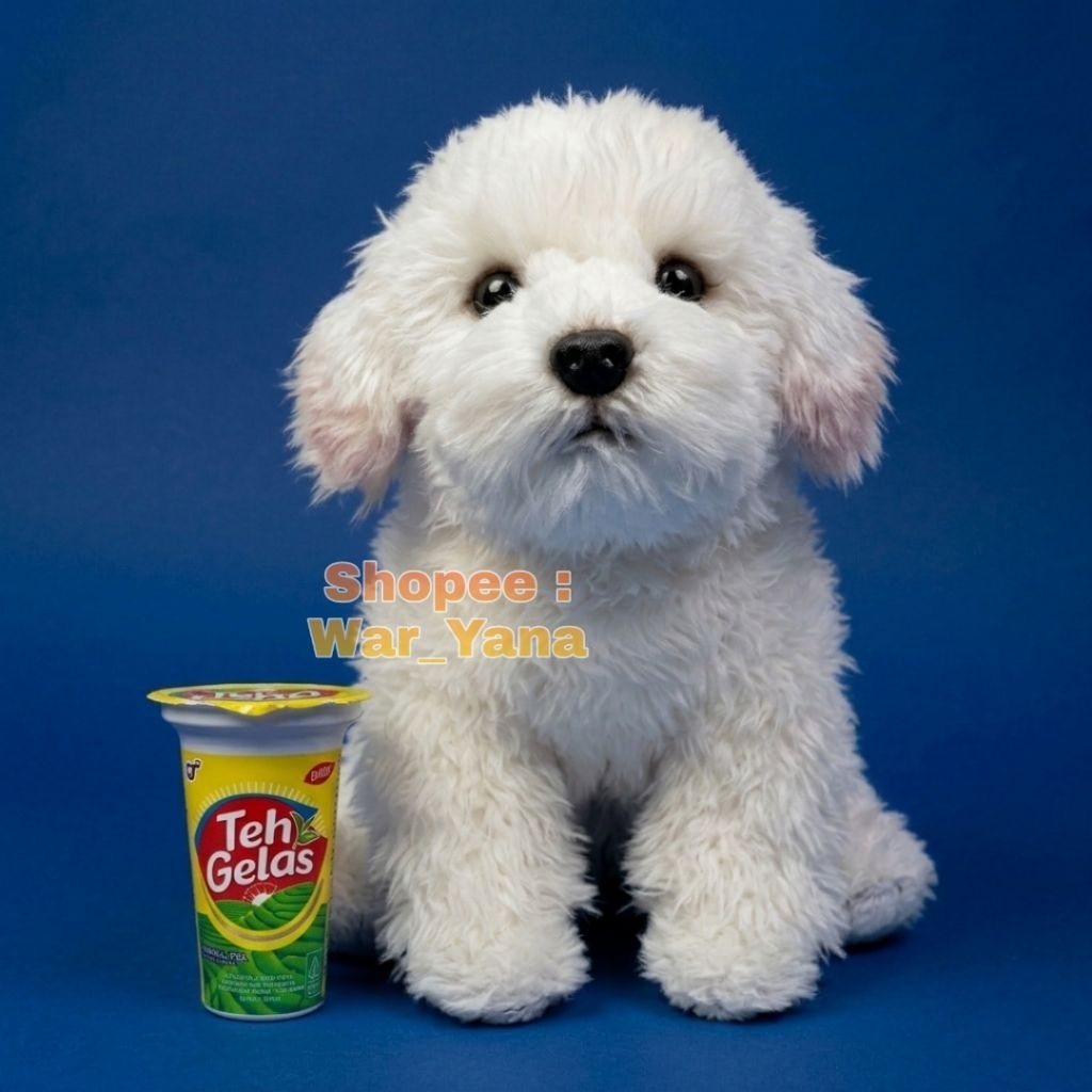 Boneka Anjing Maltese Import Korea Mirip Doggy Beneran Dogy Bichon Second PL Preloved Dog Toys Plush