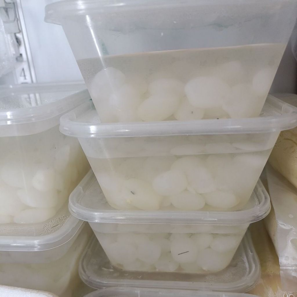 kolang Kaling lokal mentah