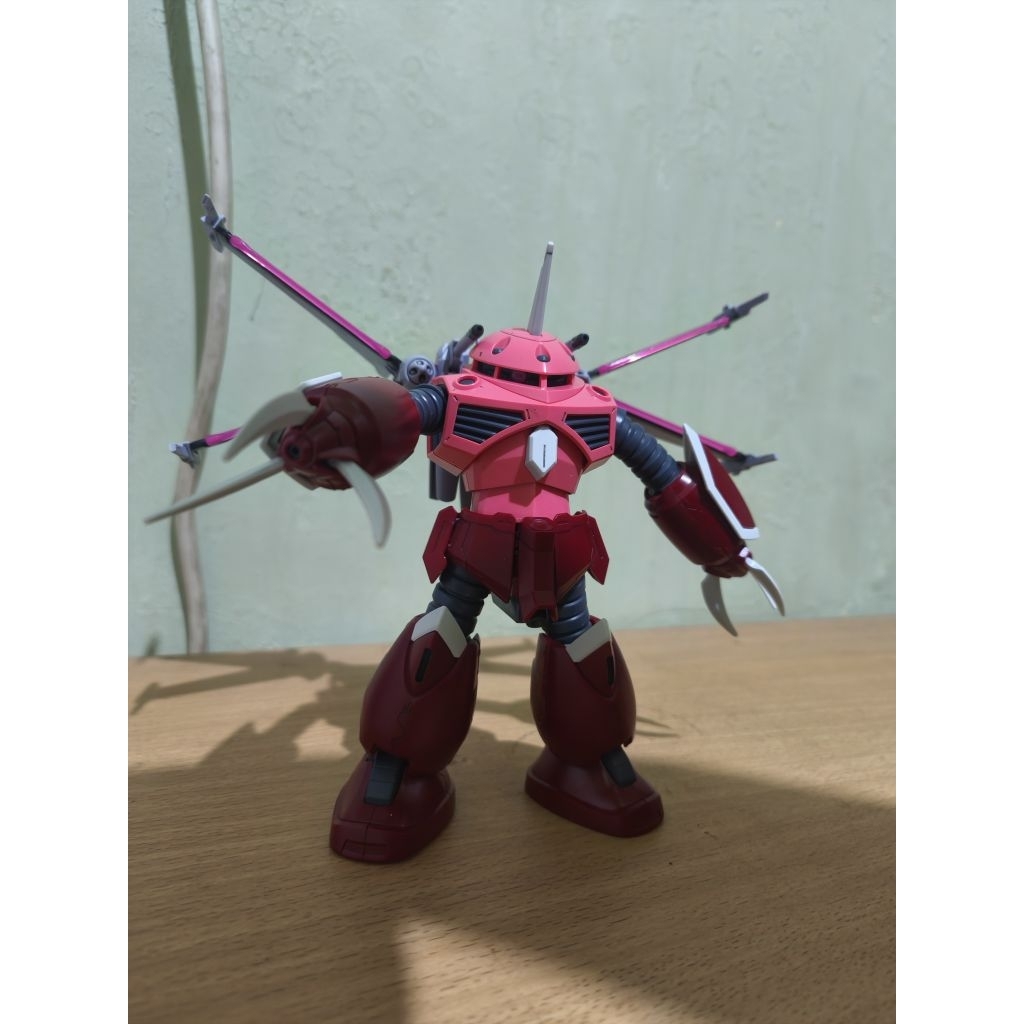 HG Zgok seed freedom Bandai rakit no minus