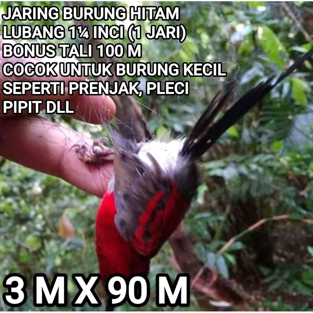 BONUS TALI 100 METER JARING BURUNG HITAM 1¼ INCI 3 X 90 METER COCOK UNTUK BURUNG PIPIT PRENJAK DAN B