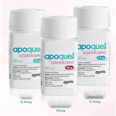 Obat Anti Gatal Eksim Anjing Apoquel Tablet 3mg 4mg 6mg Mengurangi Bengkak Alergi per BOTOL