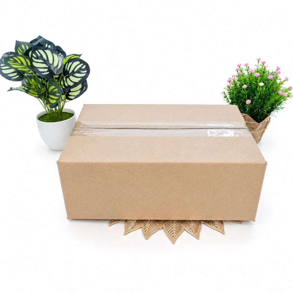 Double Box Polos/Karton Box Lapisan Box (Karton Box) Barang Lebih Aman