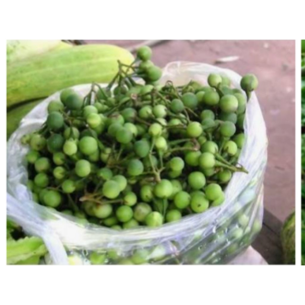 Cempokak/takokak/rimbang 1 kg