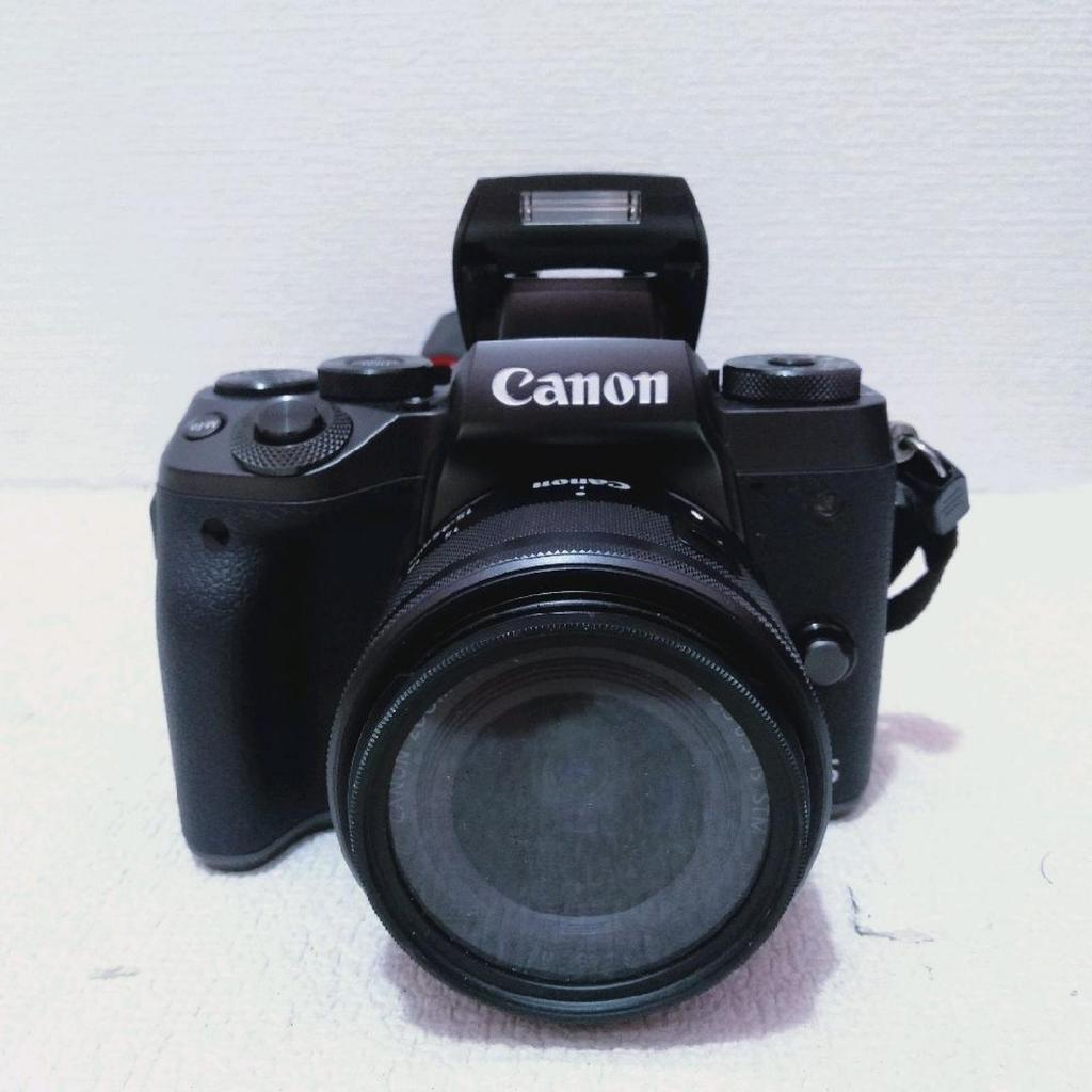 Canon Eos M5 kit 15 45mm Kamera Mirrorless