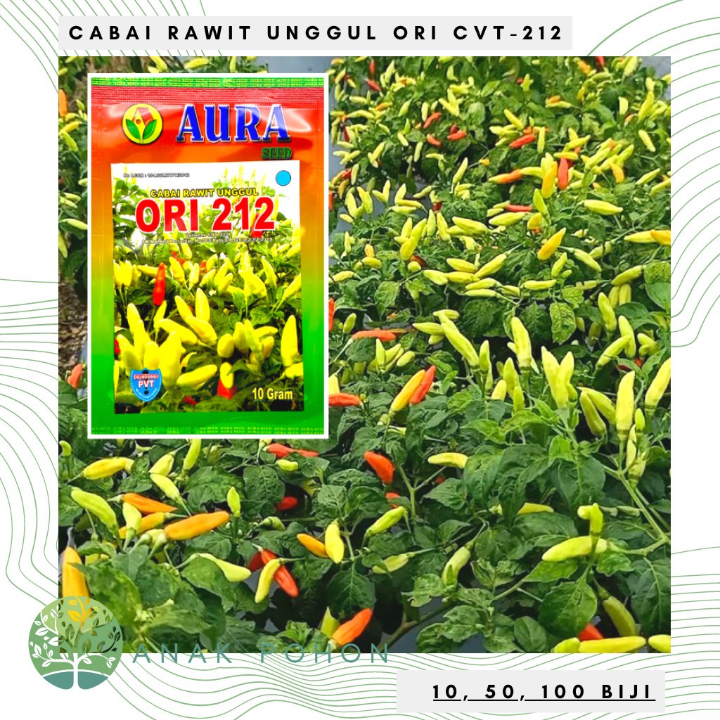 HOT PROMO Benih Cabe Ori 212 10 gr Cap Aura Seed Benih Cabe Rawit Viral Mudah Ditanam