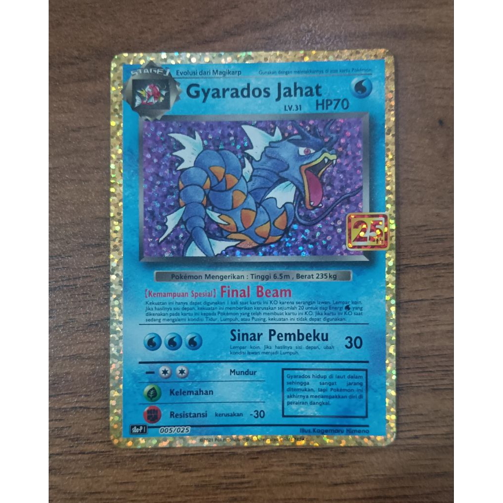 Gyarados Jahat 005/025