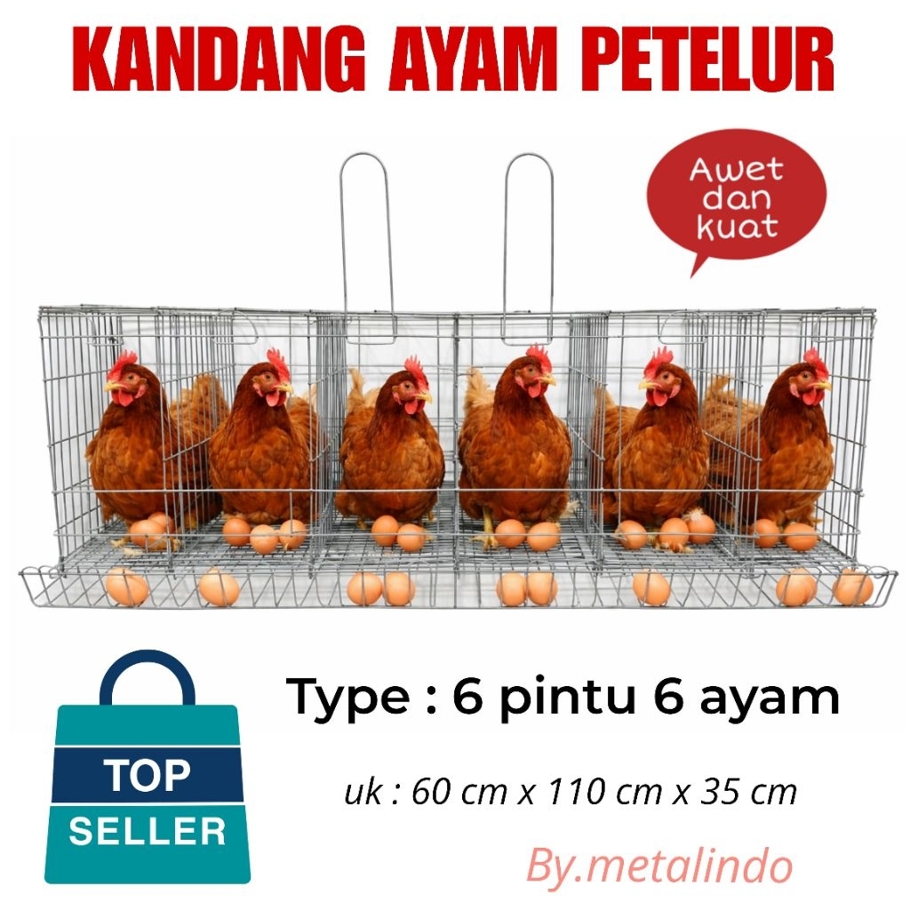 Kandang Ayam Petelur Kandang Ternak Ayam Galvanis Kandang Baterei Ayam