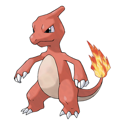 CHARMELEON - Pokemon TCG EN / JP Compilation (Common, Holo, R, AR, RR, SR)