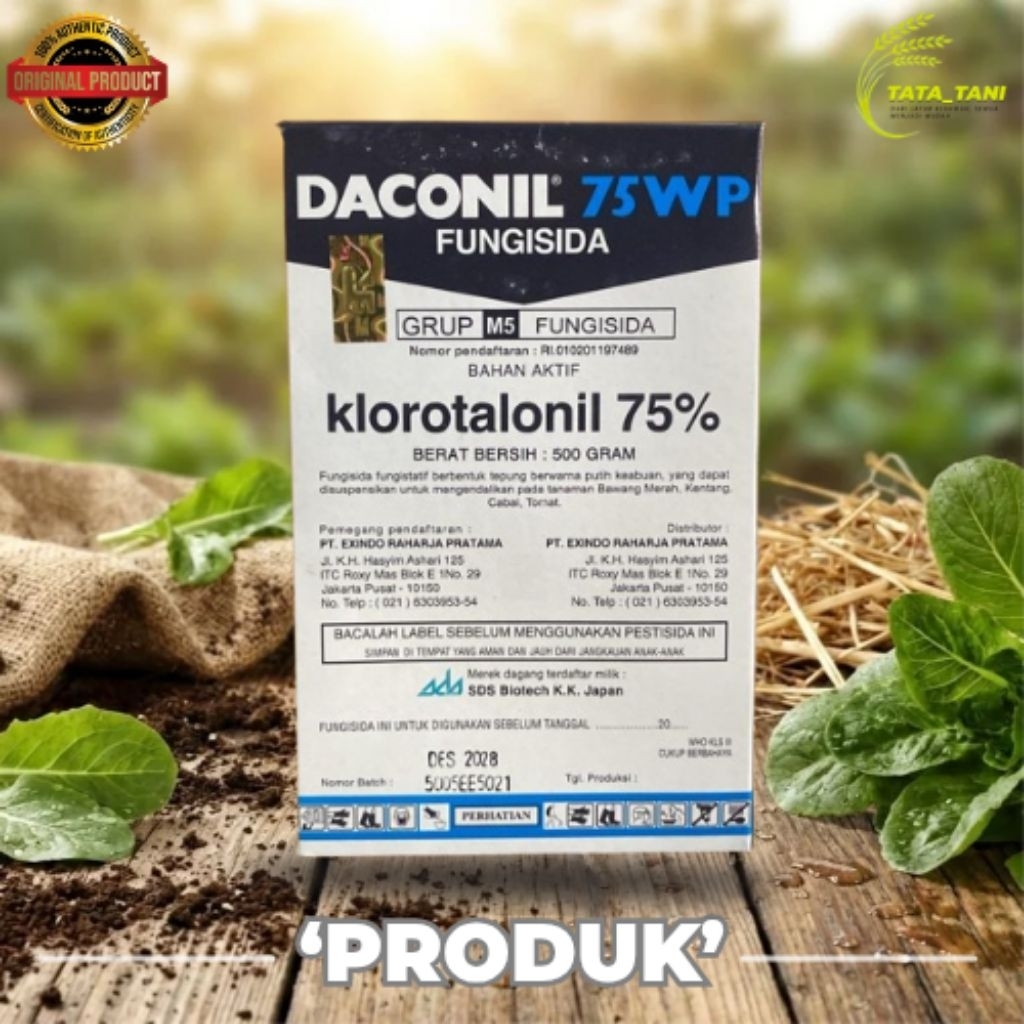DACONIL 75WP 500GR FUNGISIDA KLOROTALONIL 75% 100% ORIGINAL