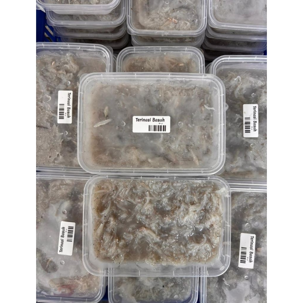 teri nasi basah