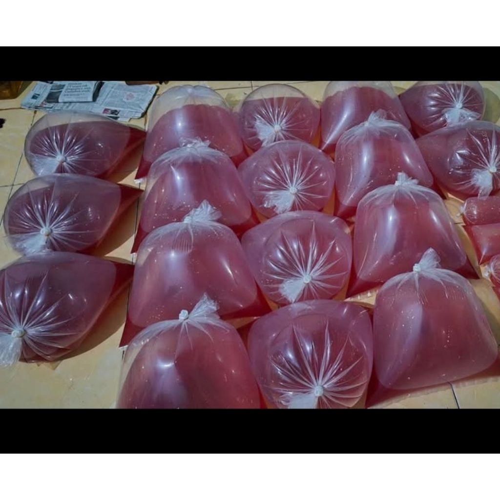 KUTU AIR/KUTIR/KUTU AIR PAKAN IKAN PERBALL