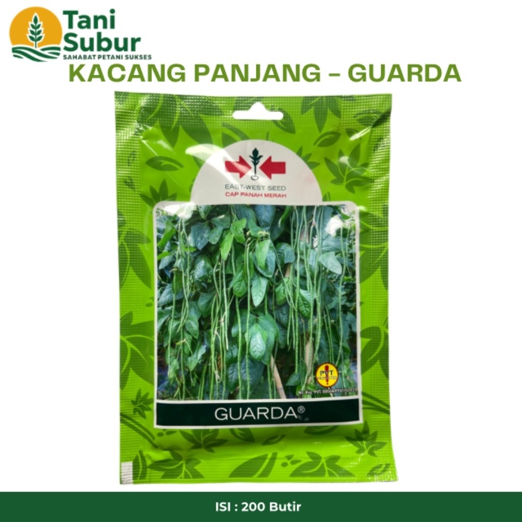 KACANG PANJANG GUARDA 200BTR PANAH MERAH - BIBIT