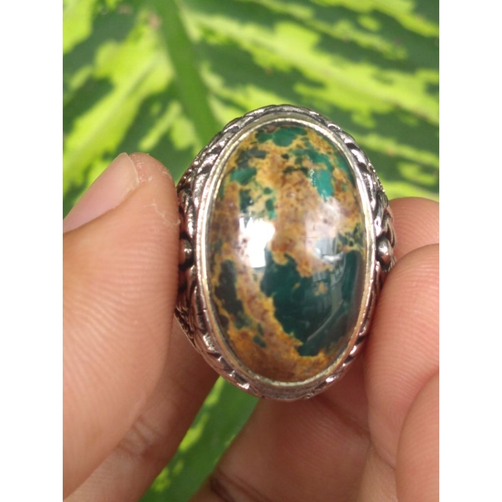 Natural pirus persia Lawas urat mas hijau kedongdong Top Quality 100 persen asli