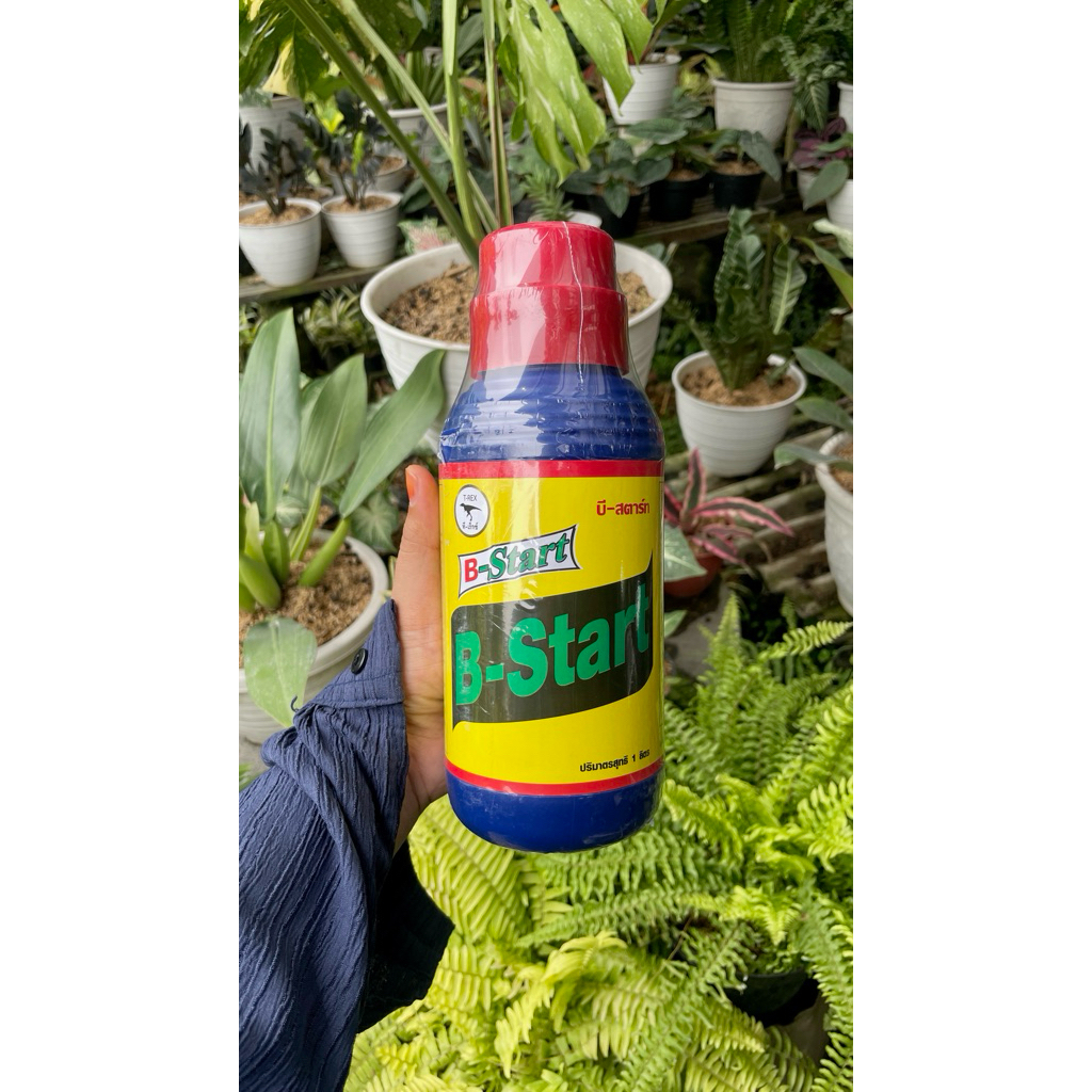 Vitamin B1 Thailand TREX ORIGINAL 1000 mL / 1 Liter