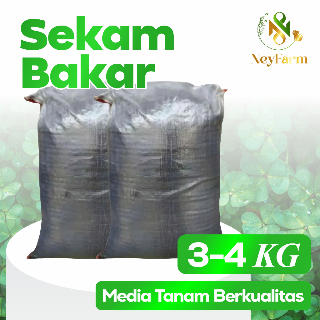 Sekam Bakar Karung Media Tanam Arang Sekam bakar karung 10kg