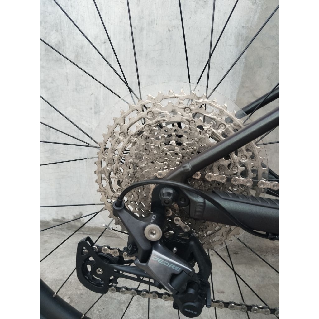 scott scale 980