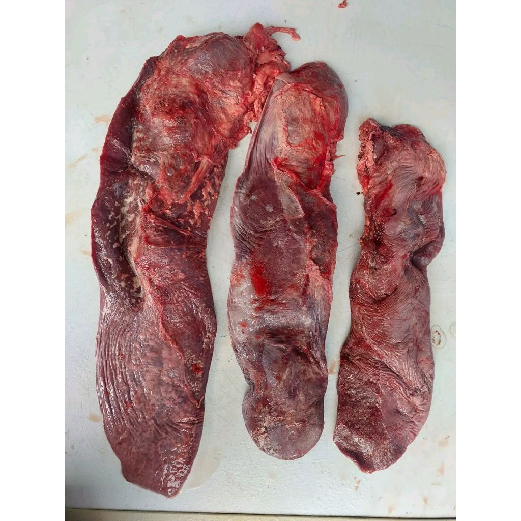 limpa sapi fresh
