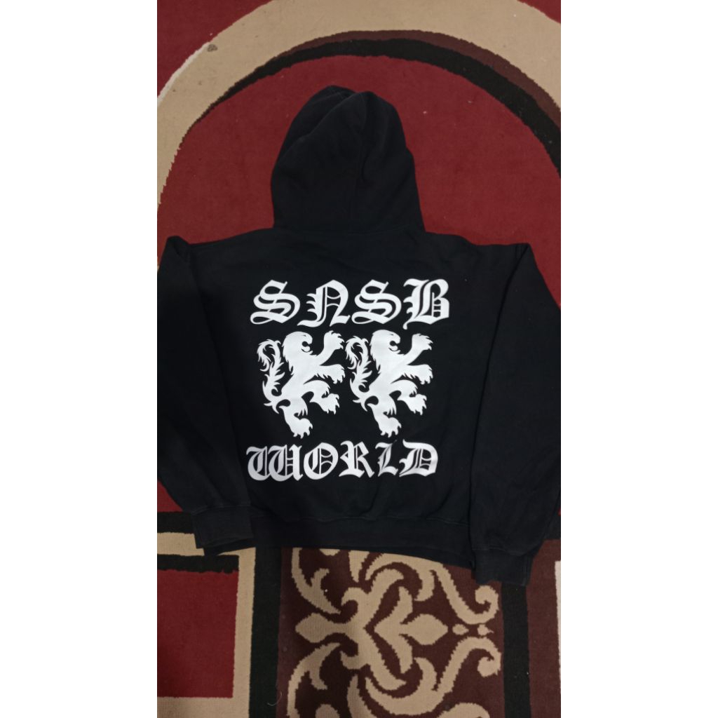 SNSB FAUL