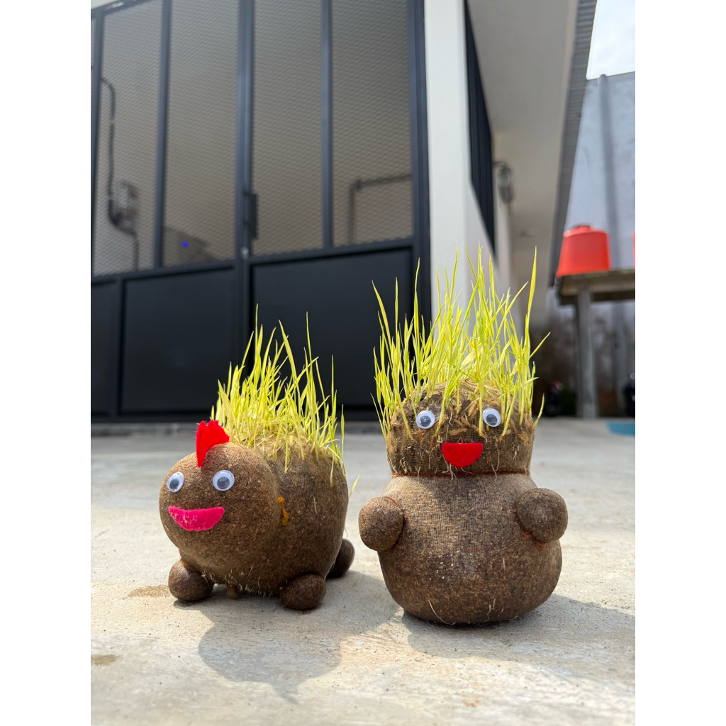 Boneka horta bisa tumbuh rumput / Boneka rumput