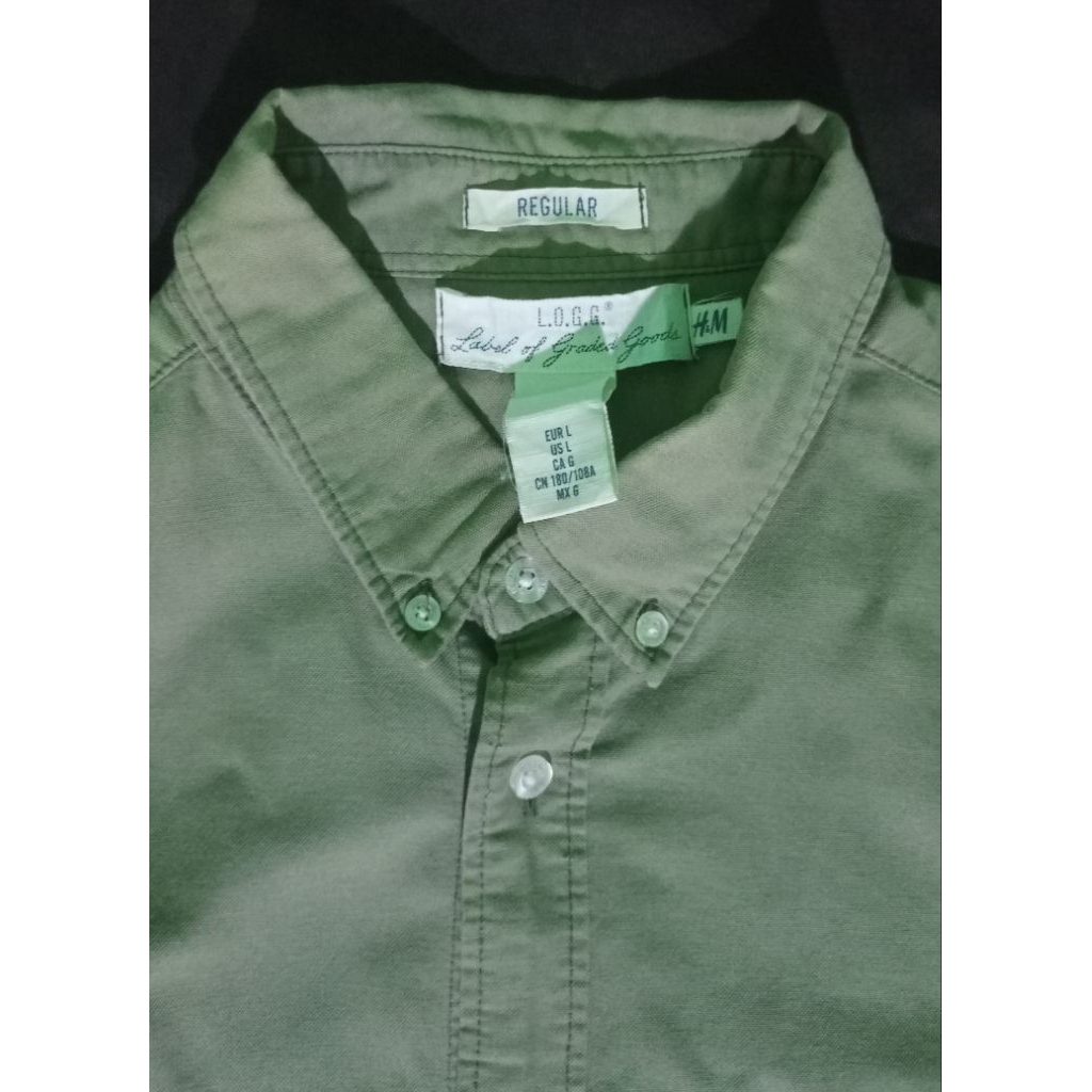 kemeja pria sage green