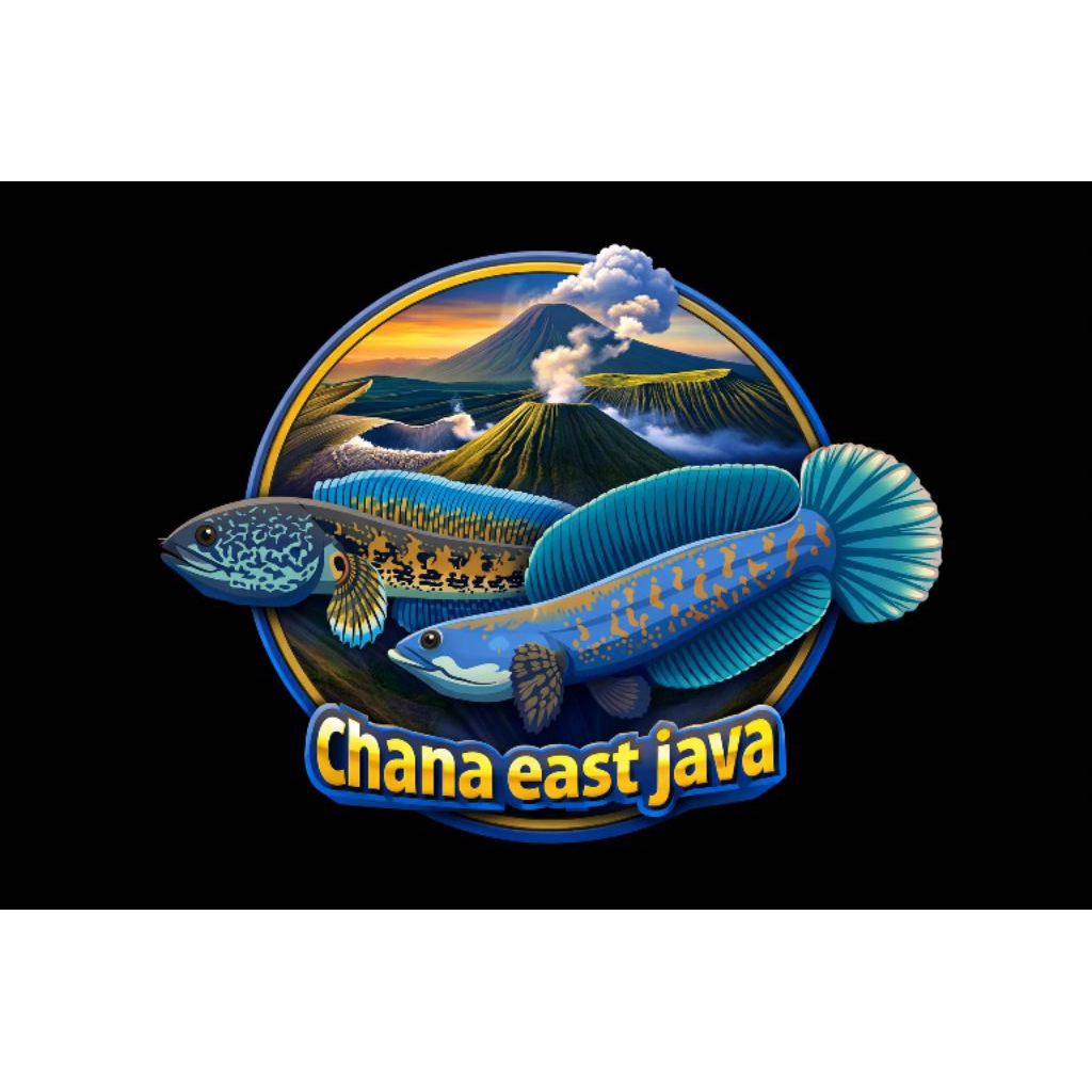 patung chana Blue pulchra