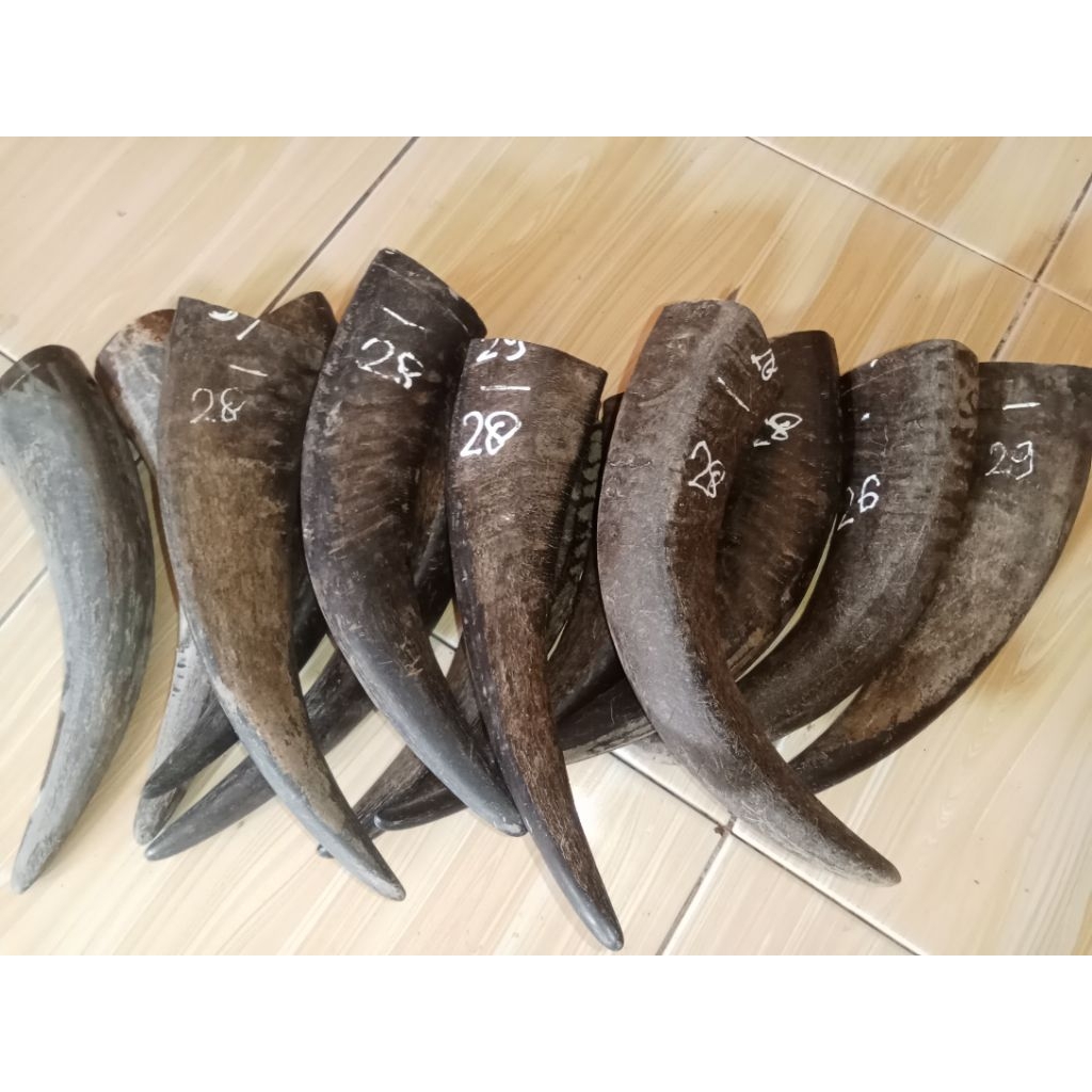 tanduk kerbau hitam padatan untuk gagang padat 28