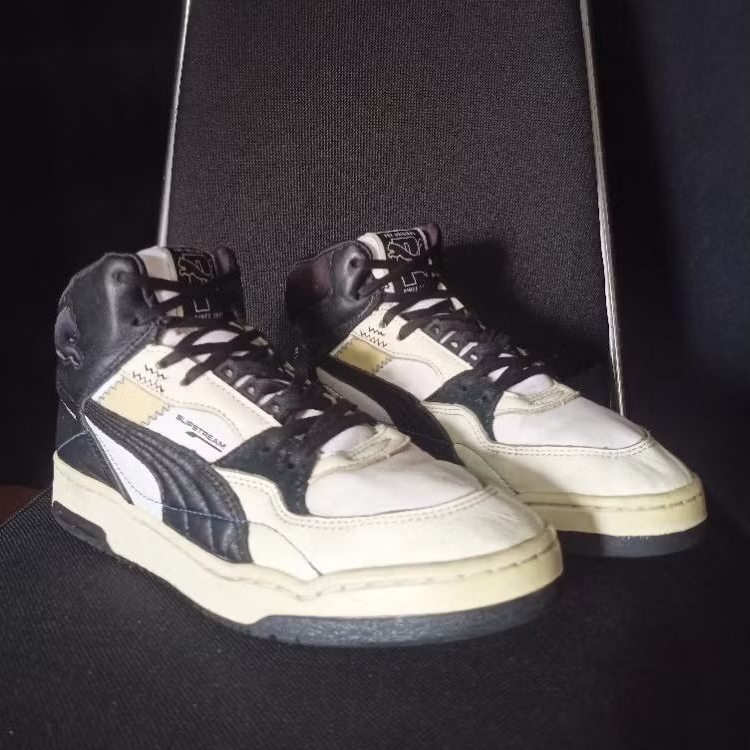 Puma slipstream