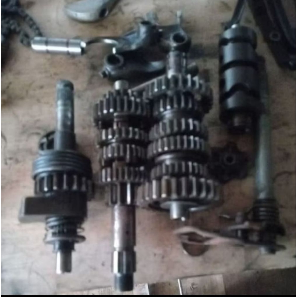 rasio set tiger