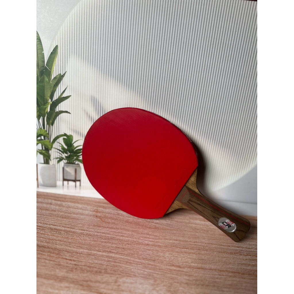 karet bet tenis meja bekas fastarc G1 dan C1