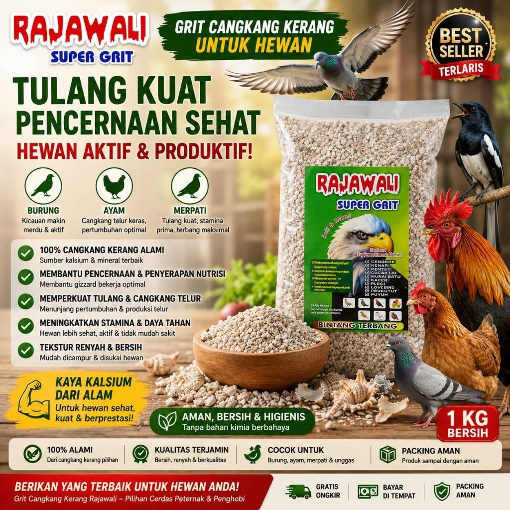 Grit Cangkang Kerang Murni Remisan Burung Merpati