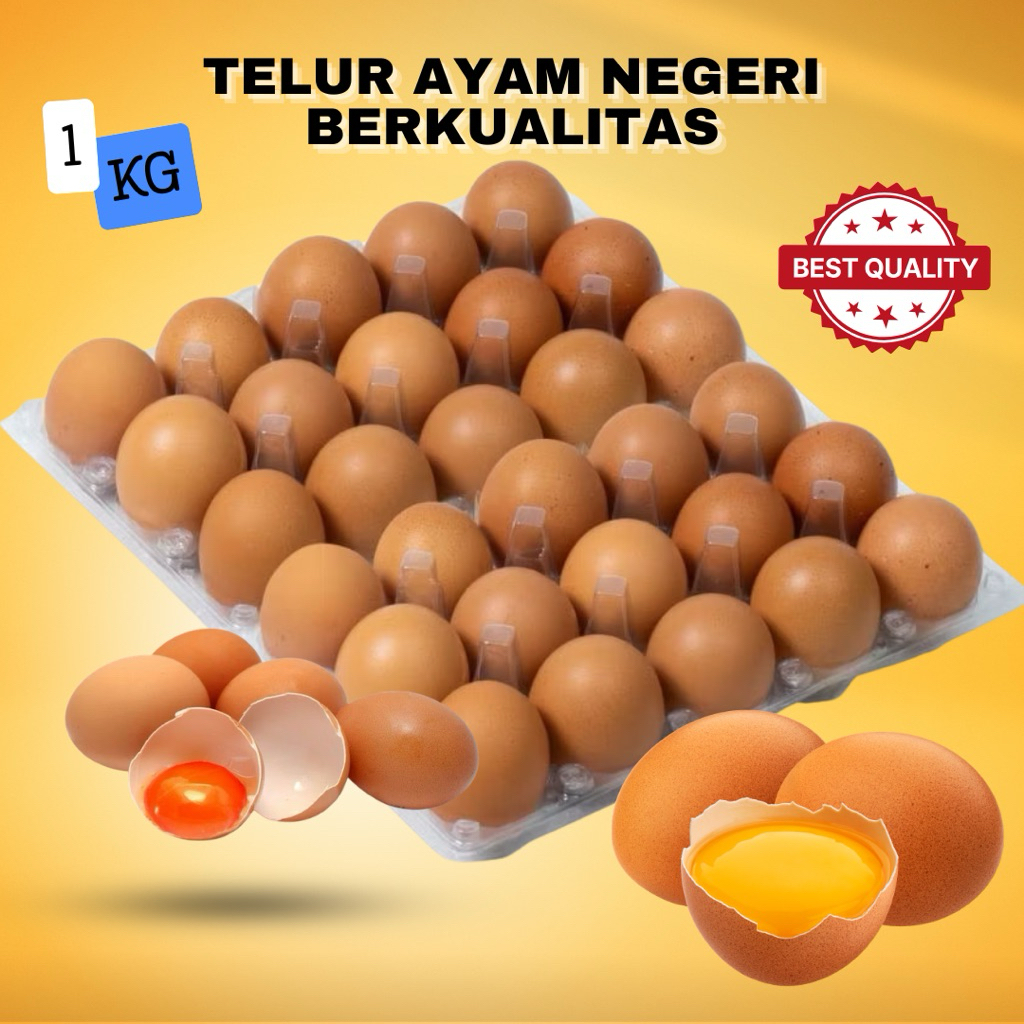 TELUR AYAM NEGRI 1 KG 15-20 BUTIR TELOR AYAM NEGERI BERKUALITAS FULL SORTIR