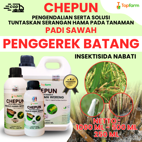 Obat Ulat Batang Padi Sawah / Insektisida Pembasmi Penggerek Batang Padi / Insektisida Topfarm / Rac