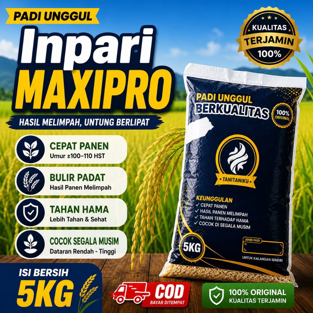 Benih padi Inpari MAXIPRO kemasan 5kg benih padi unggul kualitas terbaik dan nasi pulen#PadiCepatPan