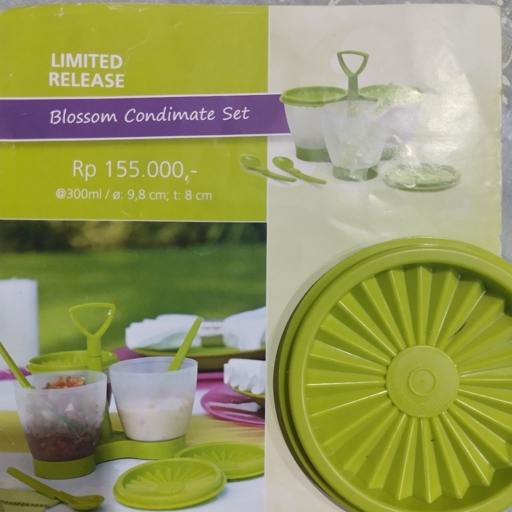 TUPPERWARE BLOSSOM CONDIMATE SET