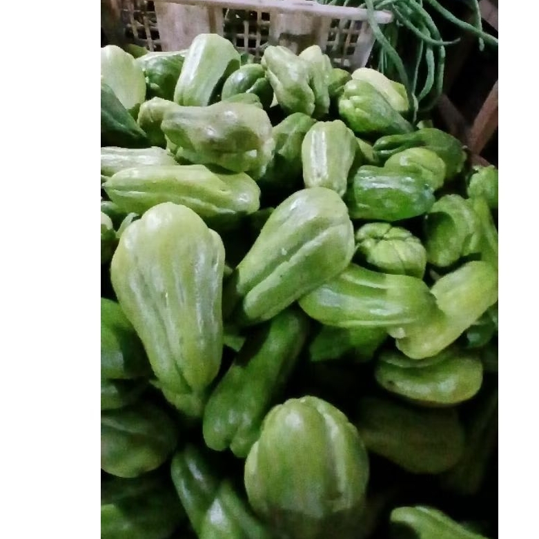 instan sayur Waluh baby