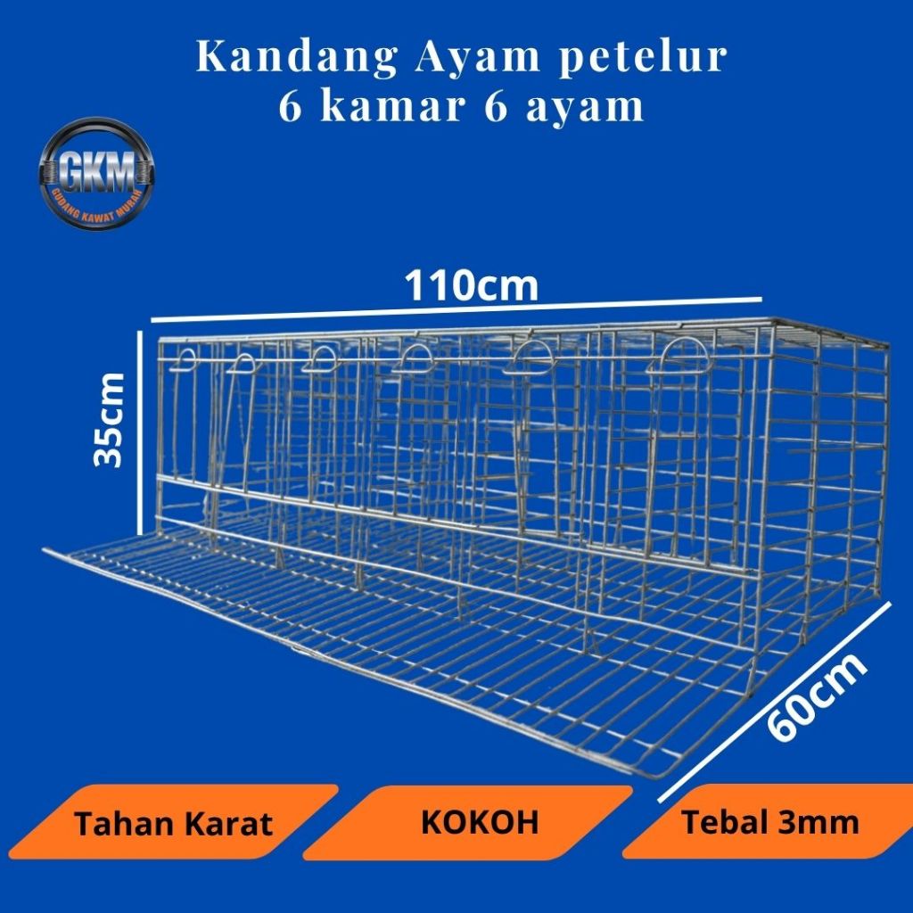 KANDANG AYAM PETELUR 6 DAN 8 AYAM BAHAN KAWAT GALVANIS TAHAN KARAT KOKOH UNTUK USAHA AYAM PETELUR