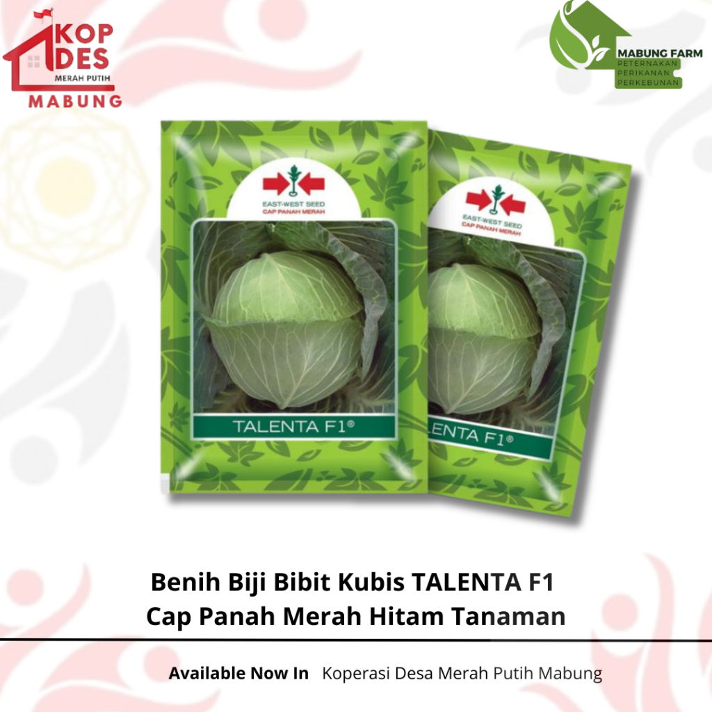 Benih Biji Bibit Kubis TALENTA F1 Cap Panah Merah Hitam Tanaman