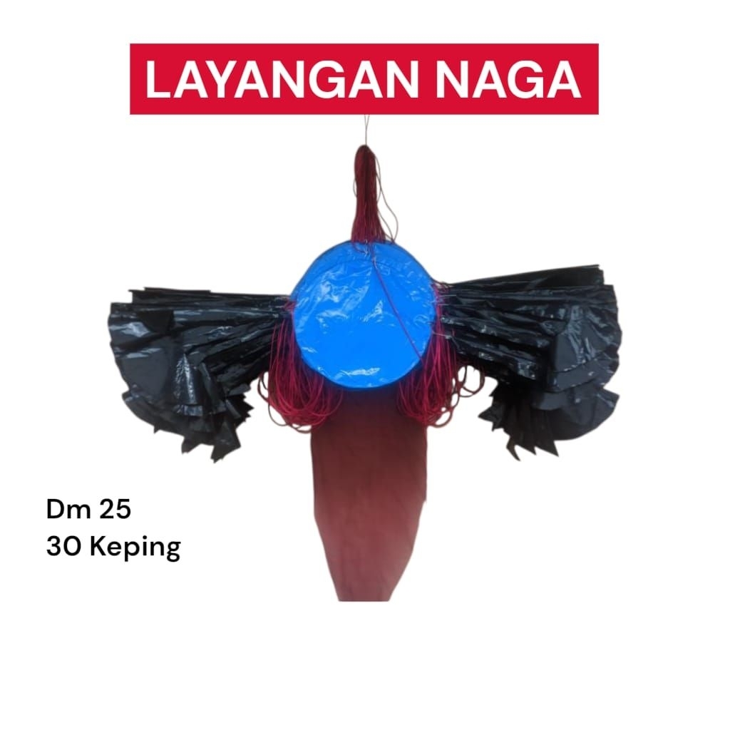 Layangan Naga 30 Keping Dm 25 Sudah Siap Terbang